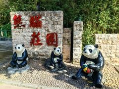 -深圳野生动物园