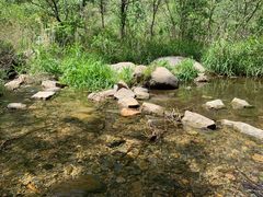 -碓臼峪自然风景区