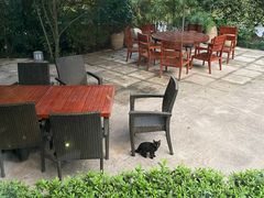 -金海湾自助餐厅(金陵饭店)