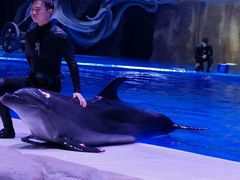 -华夏文旅海洋公园