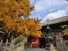 -红螺寺