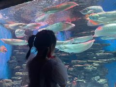 -多彩贵州城极地海洋世界