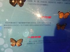 -萌宠奇缘