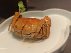 -肆月河豚·新淮扬(金融街店)