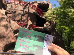 -朝阳公园游乐园