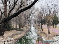 -北坞公园