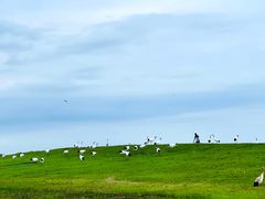 -黑龙江扎龙生态旅游区