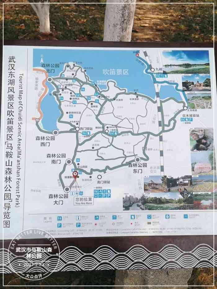 东湖吹笛景区马鞍山森林公园