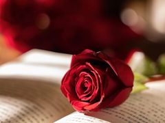 -同庆楼(王府井店)