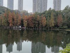 -重庆彩云湖湿地公园