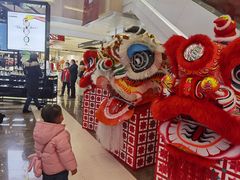 -国芳中心