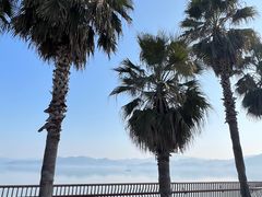 -东钱湖旅游度假区