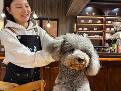-沏点Trattoria意大利餐厅(新街口店)