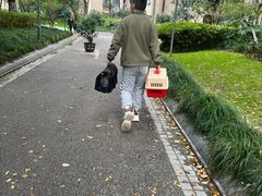 -车接车送·寄养洗护·德文猫舍(大宁店)