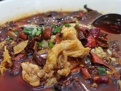 -洞庭家宴·头牌甲鱼(广渠门店)