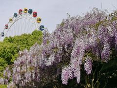 -上海野生动物园