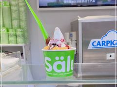 -Salud撒露欧洲冻酸奶(蓝色港湾店)