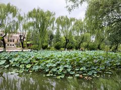 -近春园遗址