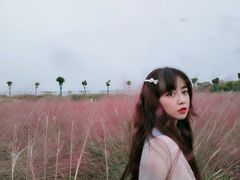 -大塘金香草谷
