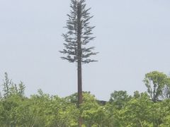 -广富林郊野公园