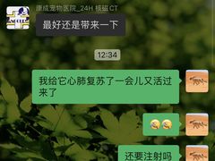 -康成宠物医院24H·CT·核磁共振