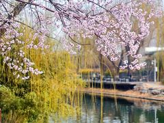 -安定门(地铁站)