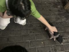 -洪大厨鸡煲(福田店)