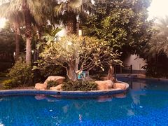 -海悦山庄酒店-花园泳池