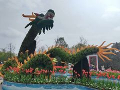 -南山植物园