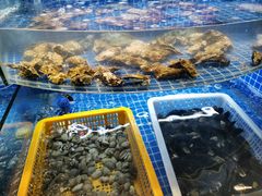 -星伦多自助料理·涮烤一体(虹悦城店)