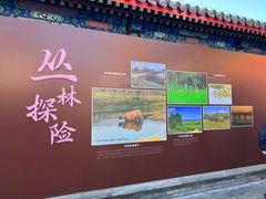 -妙应寺白塔