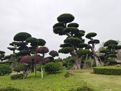 -南宁南湖公园