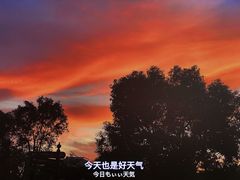 -歌斐颂巧克力小镇