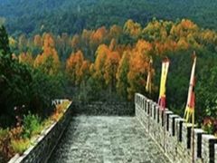 -天龙八部武侠城