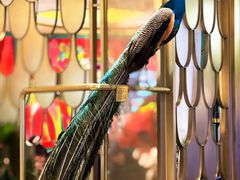 -雀蓝川菜(星悦汇店)