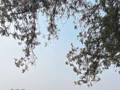 -颐和园
