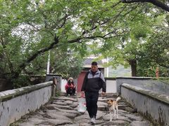 -阳台山自然风景区