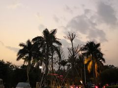 -南国桃园旅游度假区