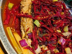 -南锣肥猫·麻辣烤鱼·15年现烤现卖(通州领展店)