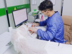 -半岛宠物医院24小时(科华中路店)