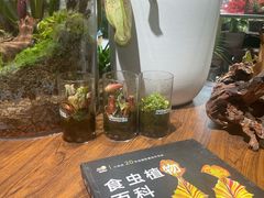 -瑞虹新天地月亮湾