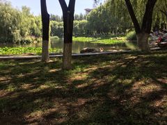 -吉林大学前卫校区南区-日新楼