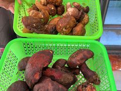 -原林野山菌火锅·炒菌(关上野生菌一条街店)
