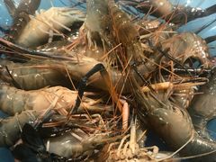 -诱货海鲜自助火锅(爱琴海购物公园东百店)