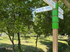 -宜兴龙背山森林公园