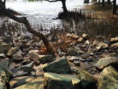 -宝安西湾红树林湿地公园