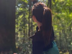 -天目山大树王景区