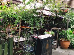 -缘生态云南菜·野生菌庭院餐厅(华侨城店)