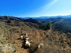 -蟠龙山长城景区