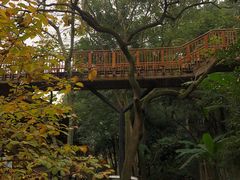 -柏联酒店